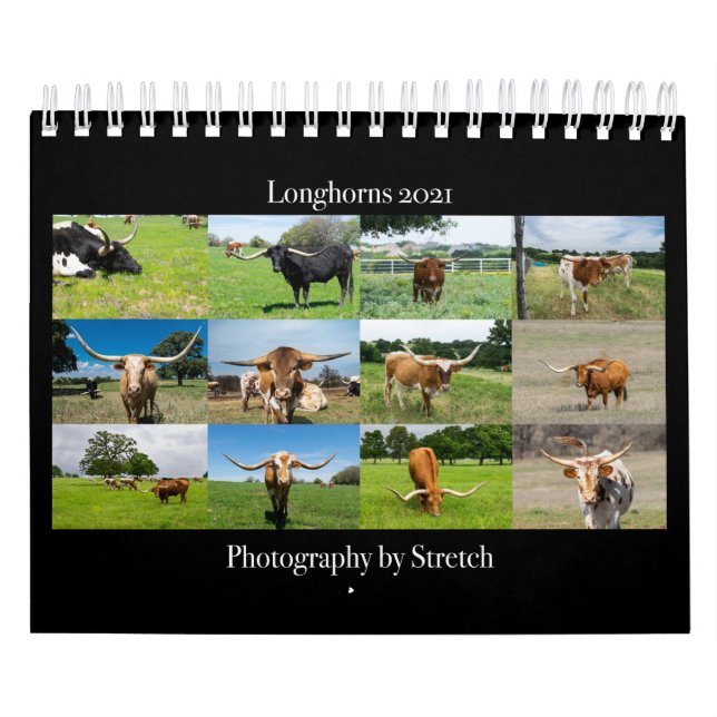 Longhorn Cattle Photography Calendar (Cover)
