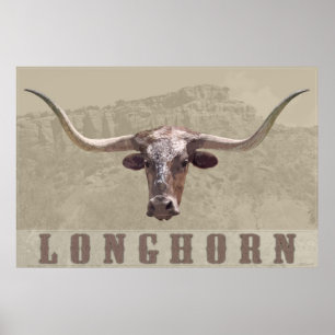 Longhorn Country Poster -60x40 -other sizes also