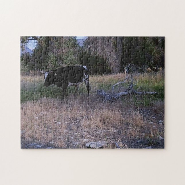 Longhorn Cow in the Pasture Jigsaw Puzzle (Horizontal)