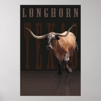 Longhorn Legacy Poster -40x60 -other sizes also