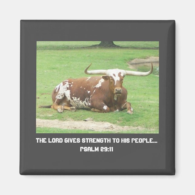 Longhorn Magnet (Front)