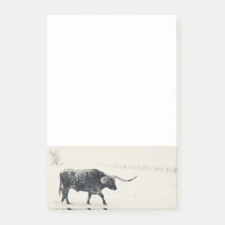 Longhorn notepad