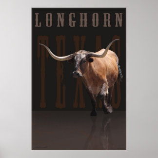Longhorn Power Poster w/Text -40x60 -or smaller
