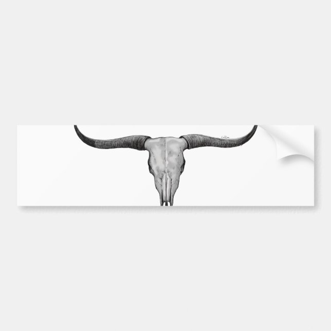 Longhorn Skull Bumper Sticker (Front)