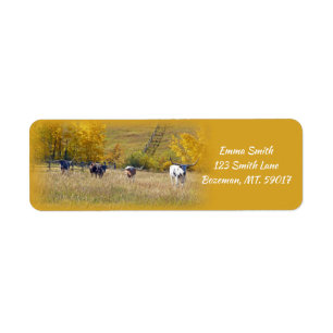 Longhorn Steers return address