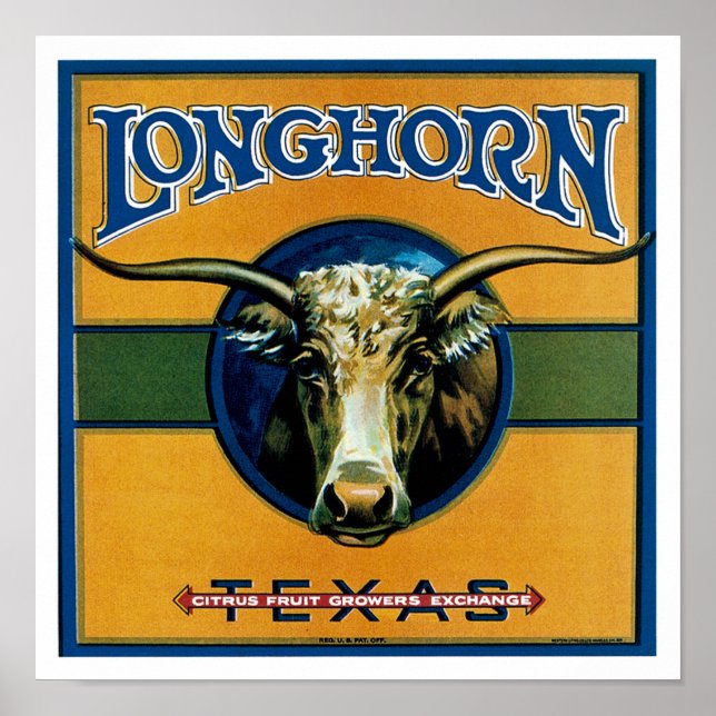 Longhorn Texas Poster (Front)