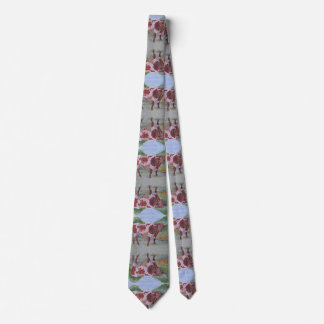 Longhorn Tie