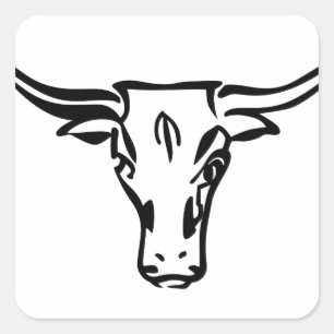 Longhorns Square Sticker