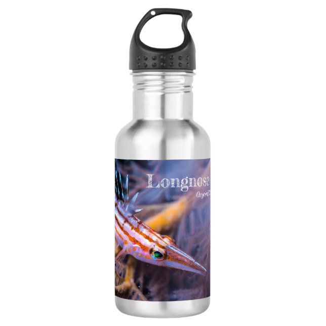 Longnose hawkfish 532 ml water bottle (Front)