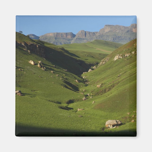 Longwall, Giant's Castle, Drakensberg Mountains, Magnet (Front)