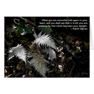 Look Again in Your Heart