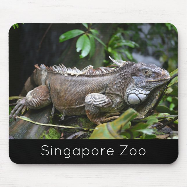 Look at Me Lizard Singapore Zoo Mouse Pad (Front)