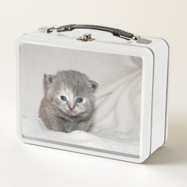 Look at this little grey Kitten Metal Lunch Box (Front)