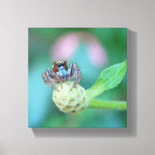 Look at those Eyes! Canvas Print