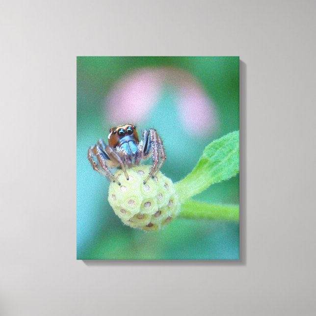 Look at those Eyes! Canvas Print (Front)