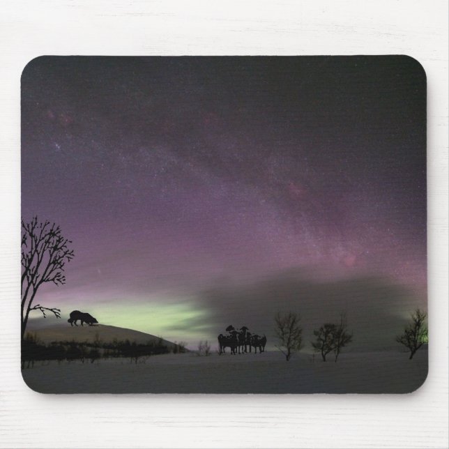 "Look Back."  Border Collie Mousepad (Front)