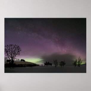 Look Back. Border Collie Poster