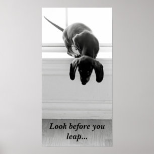 Look before you leap... poster