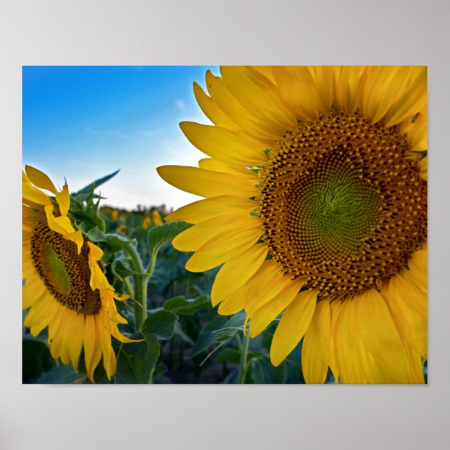 Look Closer Poster (Front)