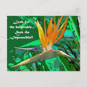 Look for... postcard