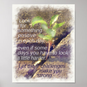 Look for Something Positive Every Day Inspiration Poster