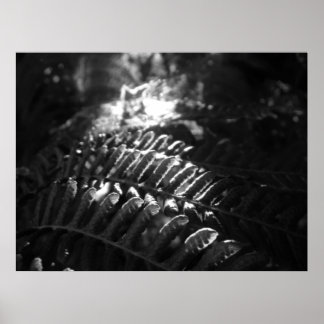 Look-Into-the-Light Poster