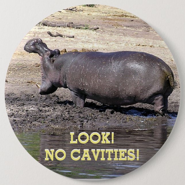 "LOOK! NO CAVITIES!" HIPPO WITH MOUTH WIDE OPEN 6 CM ROUND BADGE (Front)