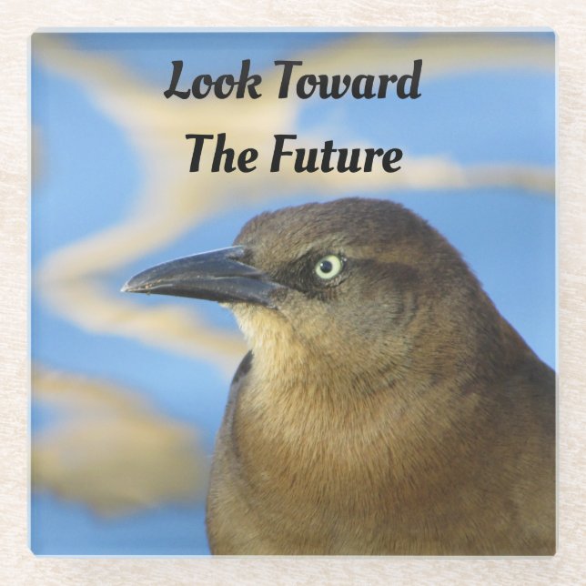 Look Towards Future Blackbird Stare Graduation Glass Coaster (Front)