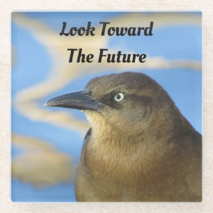 Look Towards the Future Blackbird Inspirational Glass Coaster