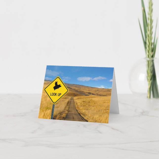 Look Up - Flying Pig Sign Note Card (Front)