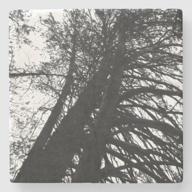 Look up in the trees stone coaster (Front)