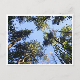 Look up  postcard