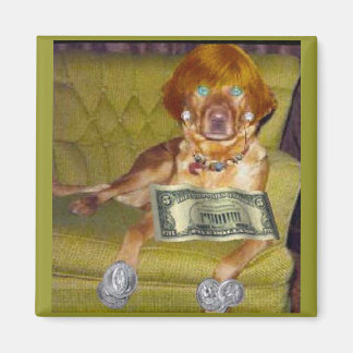 LOOK WHAT I DO FOR MONEY MAGNET