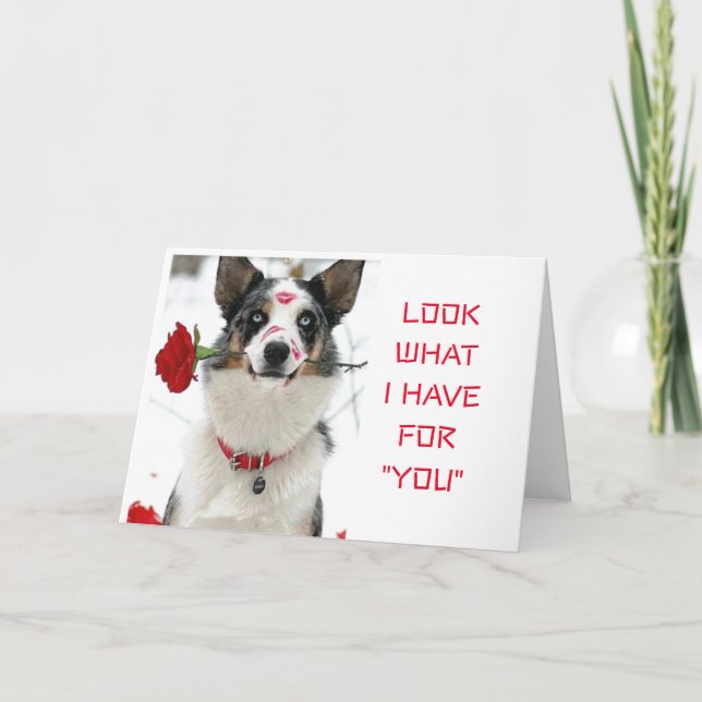 LOOK WHAT "I HAVE FOR YOU" SPECIAL DAY OR NIGHT CARD (Front)