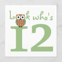 Look Who's 12 Owl Birthday Party