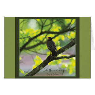 Look winter is past Parakaleo note card