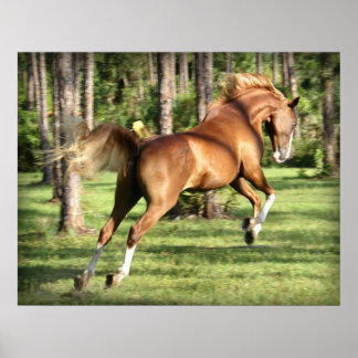 Lookie Lou Having Fun Poster