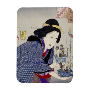 Looking as if She Wants to Change: The Appearance Magnet