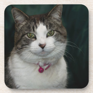 Looking at You Looking at Me Coaster