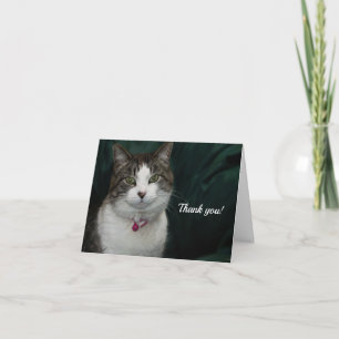 Looking at You Looking at Me Thank You Card