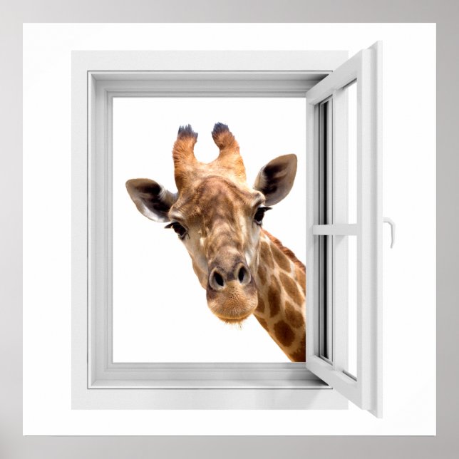 LOOKING AT YOU POSTER (Front)