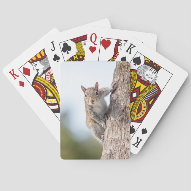 Looking at You! Squirrel Playing Cards (Back)