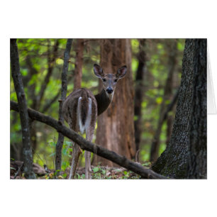 Looking Back Painterly