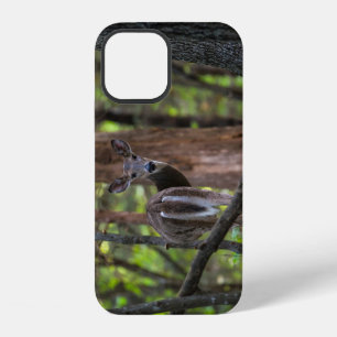 Looking Back Painterly iPhone Case