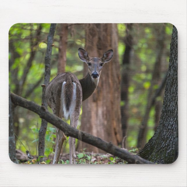 Looking Back Painterly Mouse Pad (Front)