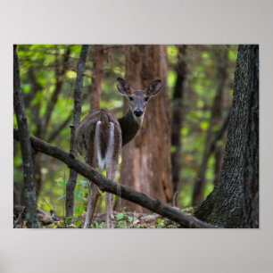 Looking Back Painterly Poster