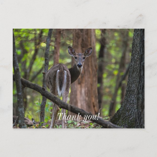Looking Back Painterly Thank You Postcard (Front)