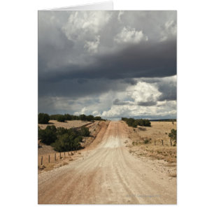 Looking down a  dirt country road in NM with