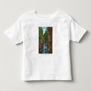 Looking Down Ausable Chasm from Hyde's Cave Toddler T-Shirt