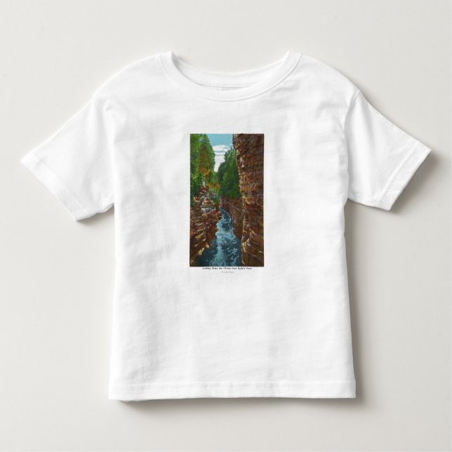 Looking Down Ausable Chasm from Hyde's Cave Toddler T-Shirt (Front)